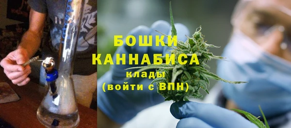индика Балахна