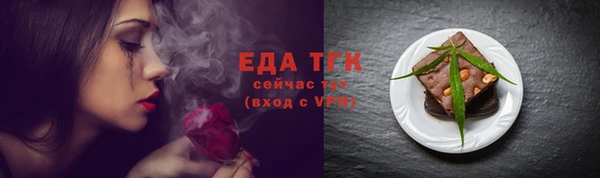 индика Балахна
