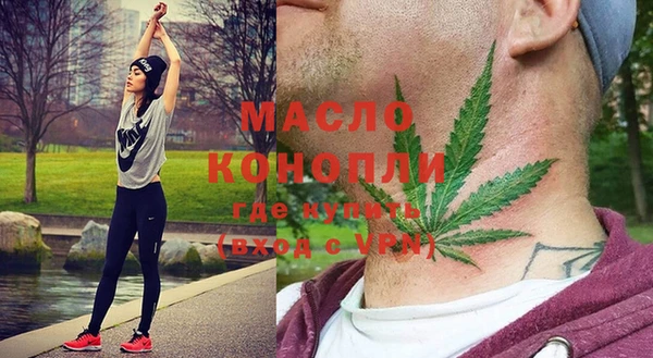 индика Балахна