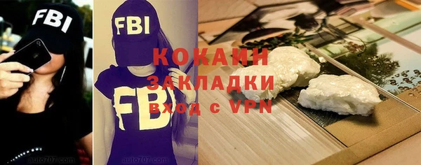 индика Балахна