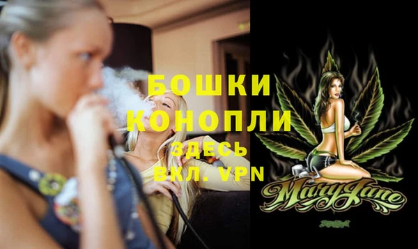 индика Балахна