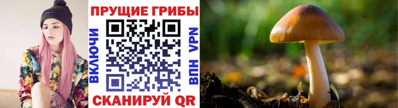 Псилоцибиновые грибы мухоморы blacksprut Новотроицк